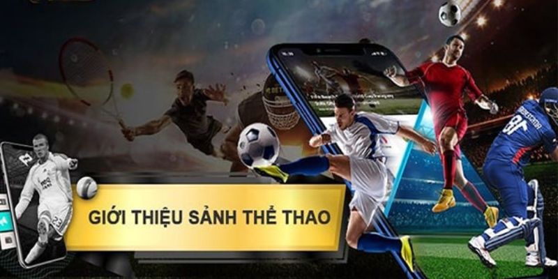 Thể Thao 78WIN thu hút rất nhiều hội viên